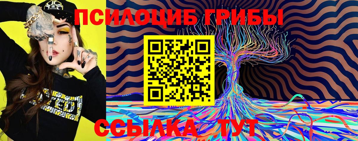 Псилоцибиновые грибы Psilocybe  Галлюциногенные грибы ЛСД  Вход с VPN  Краснознаменск 